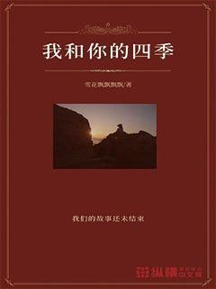 直卷发棒哪个品牌的质量好？博主推荐全网五大优质品牌