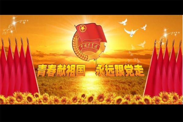 天天趣抓