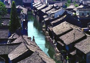 组装机械章鱼龙