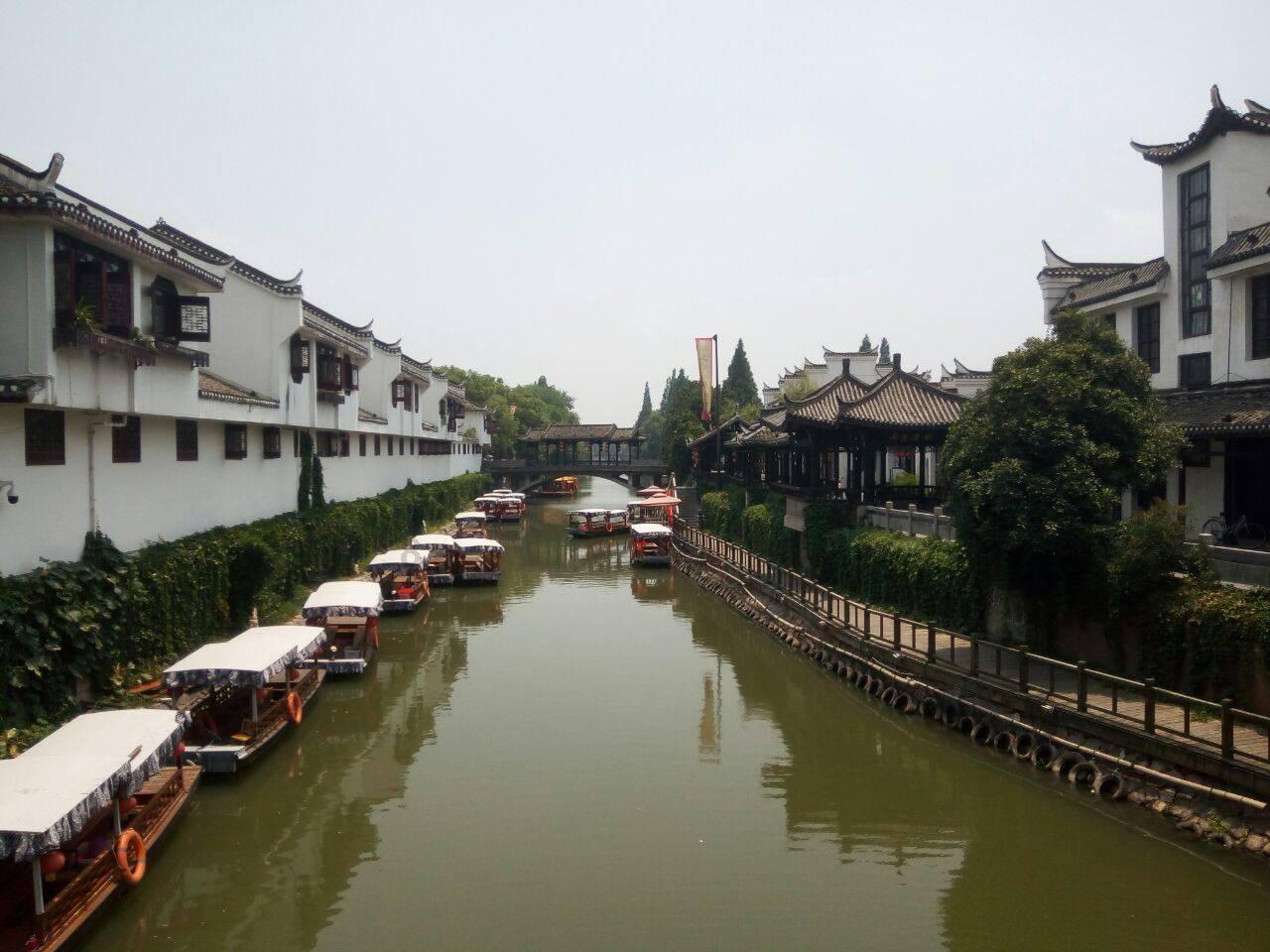 救援可爱小松鼠