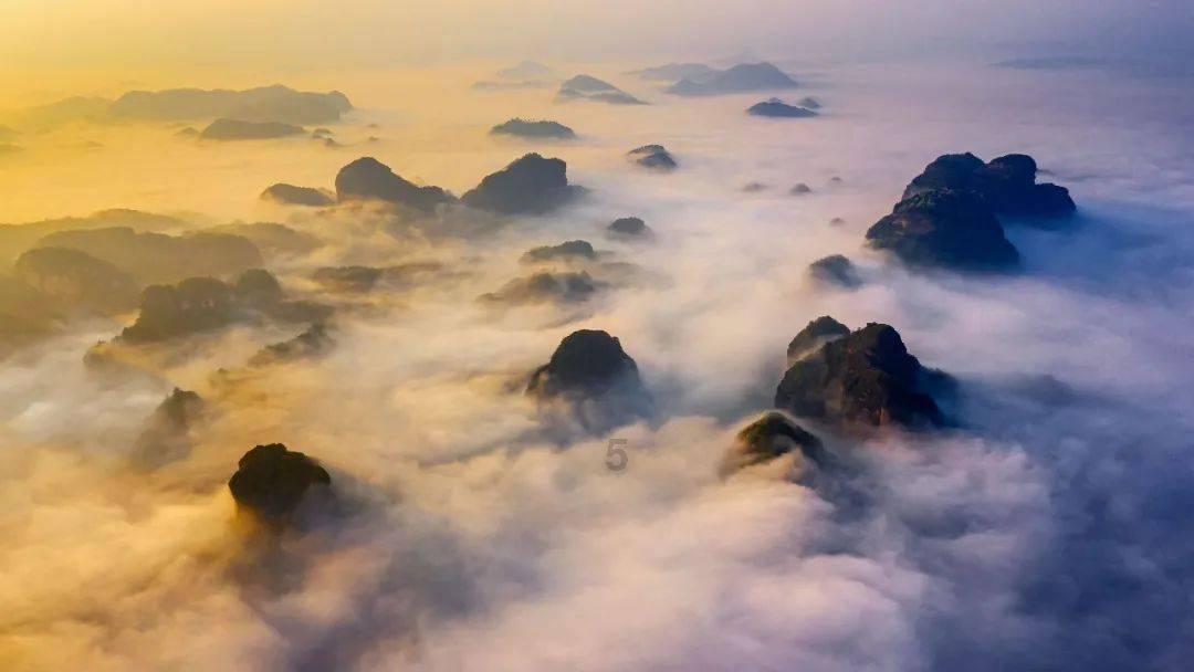 换帅？杨鸣随队出任球队副总裁，战山东乌戈若再失手，杨鸣出山？